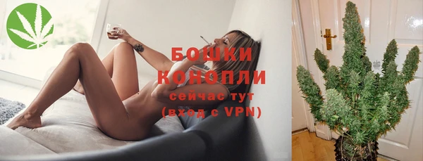 mdpv Магас