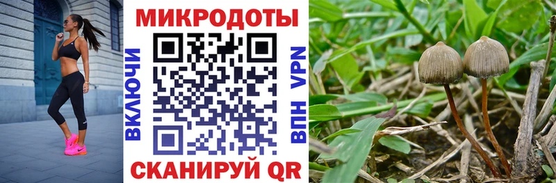Галлюциногенные грибы ЛСД omg tor Талдом