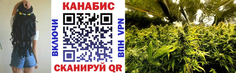 МАРИХУАНА гибрид  Талдом 